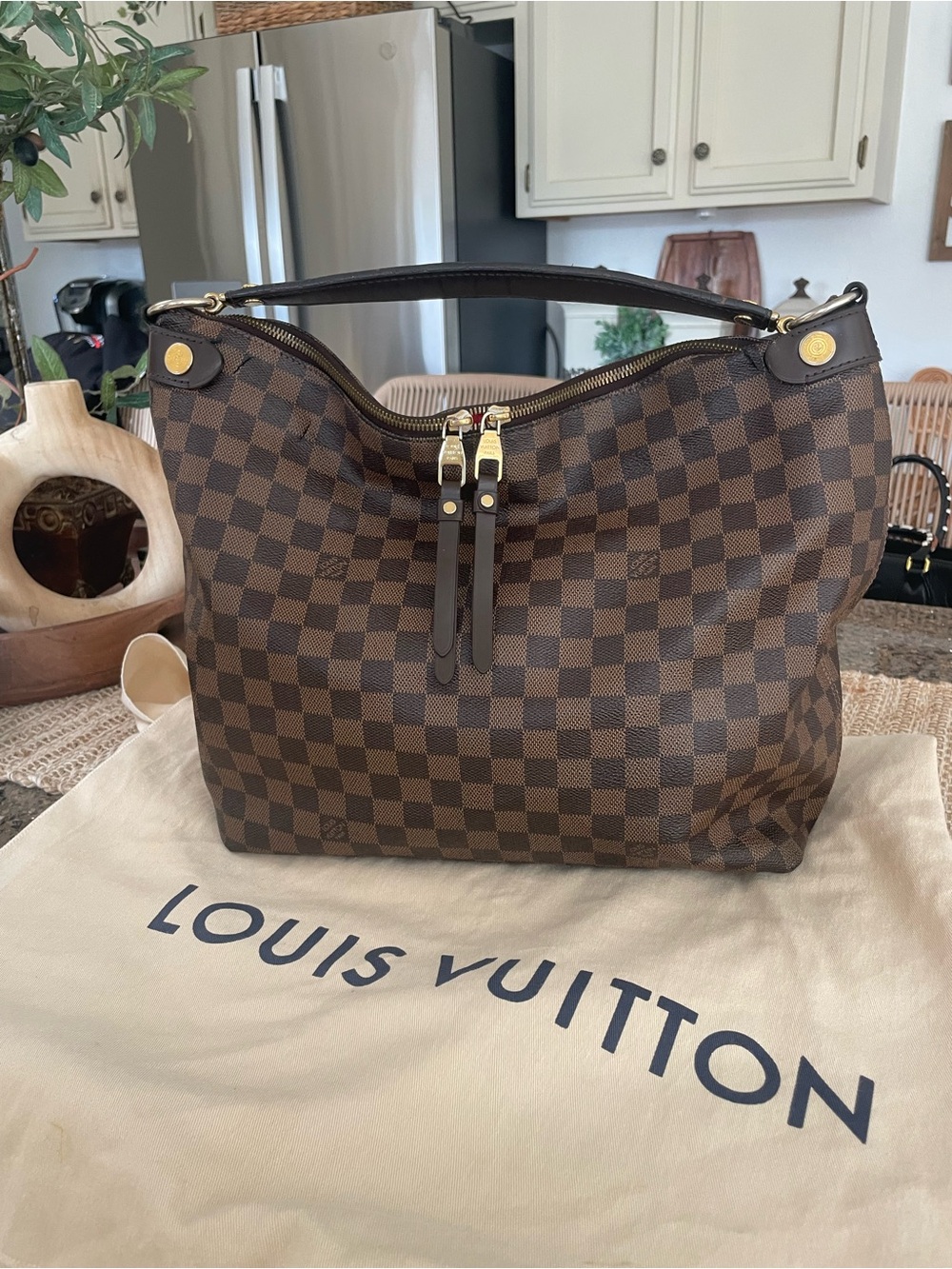 Louis Vuitton Brown Damier Shoulder Hobo Bag with Gold Hardware
